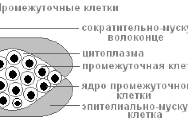 Kraken 13at магазин