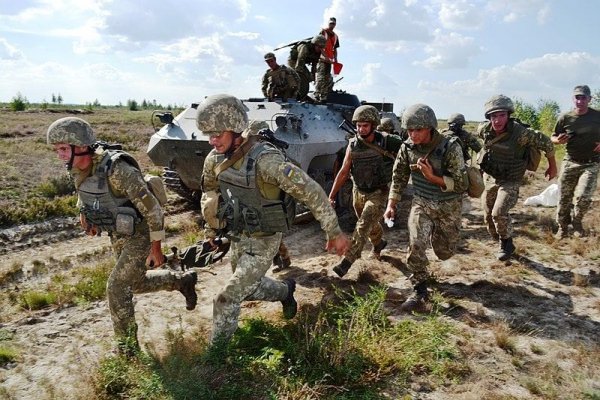 Пользователь не найден кракен что делать