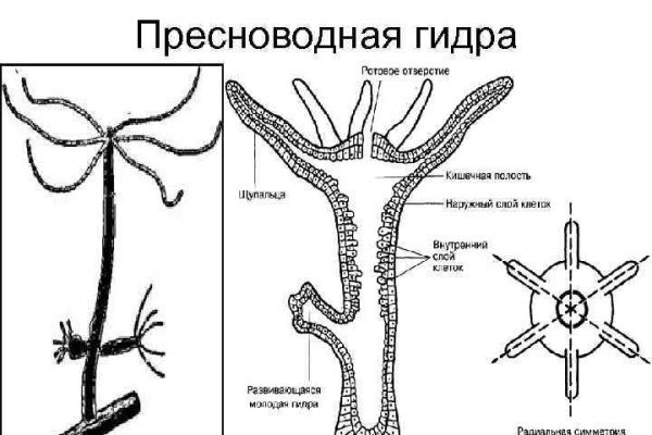 Кракен сайт 1kraken me